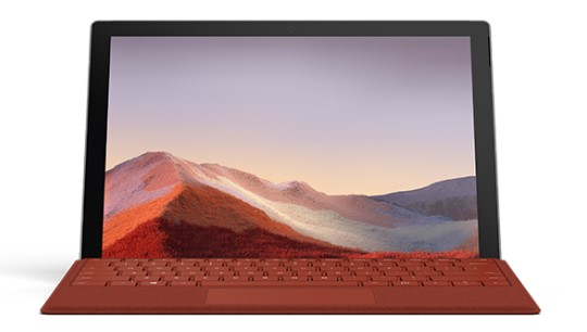 五指山清洁和维护 Surface